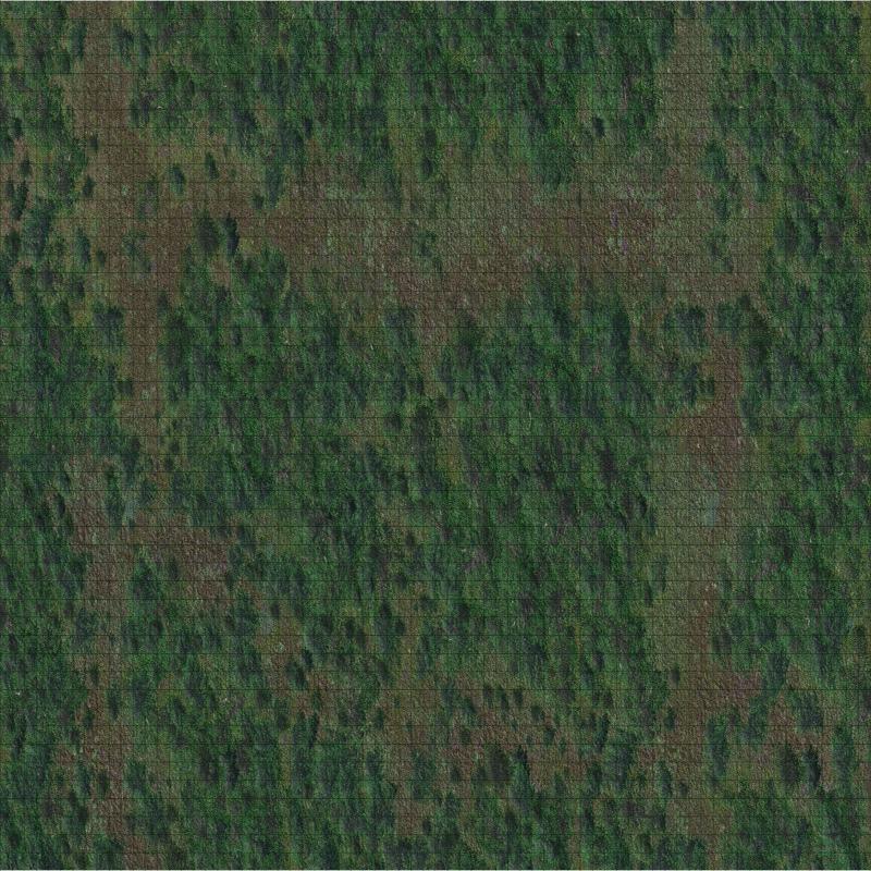 Forest Battle Mat - Icons of the Realms