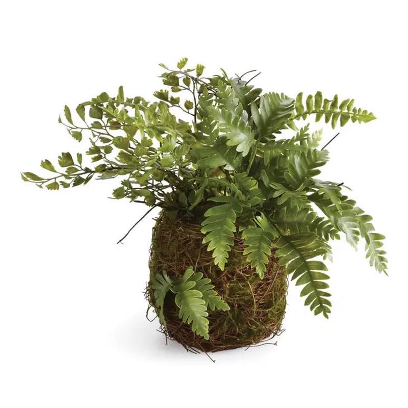 NAPA HOME AND GARDEN - RUSTIC MIXED FERN DROP IN